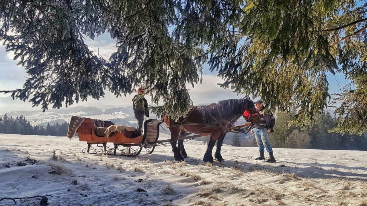 منزل الضيف Întorsura Buzăului  في Casa Bradet المظهر الخارجي الصورة